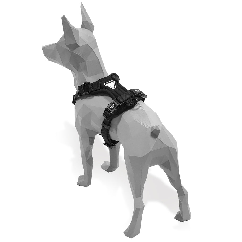 KIT COLEIRA + GUIA + PEITORAL PARA PASSEIOS CACHORRO PRETO