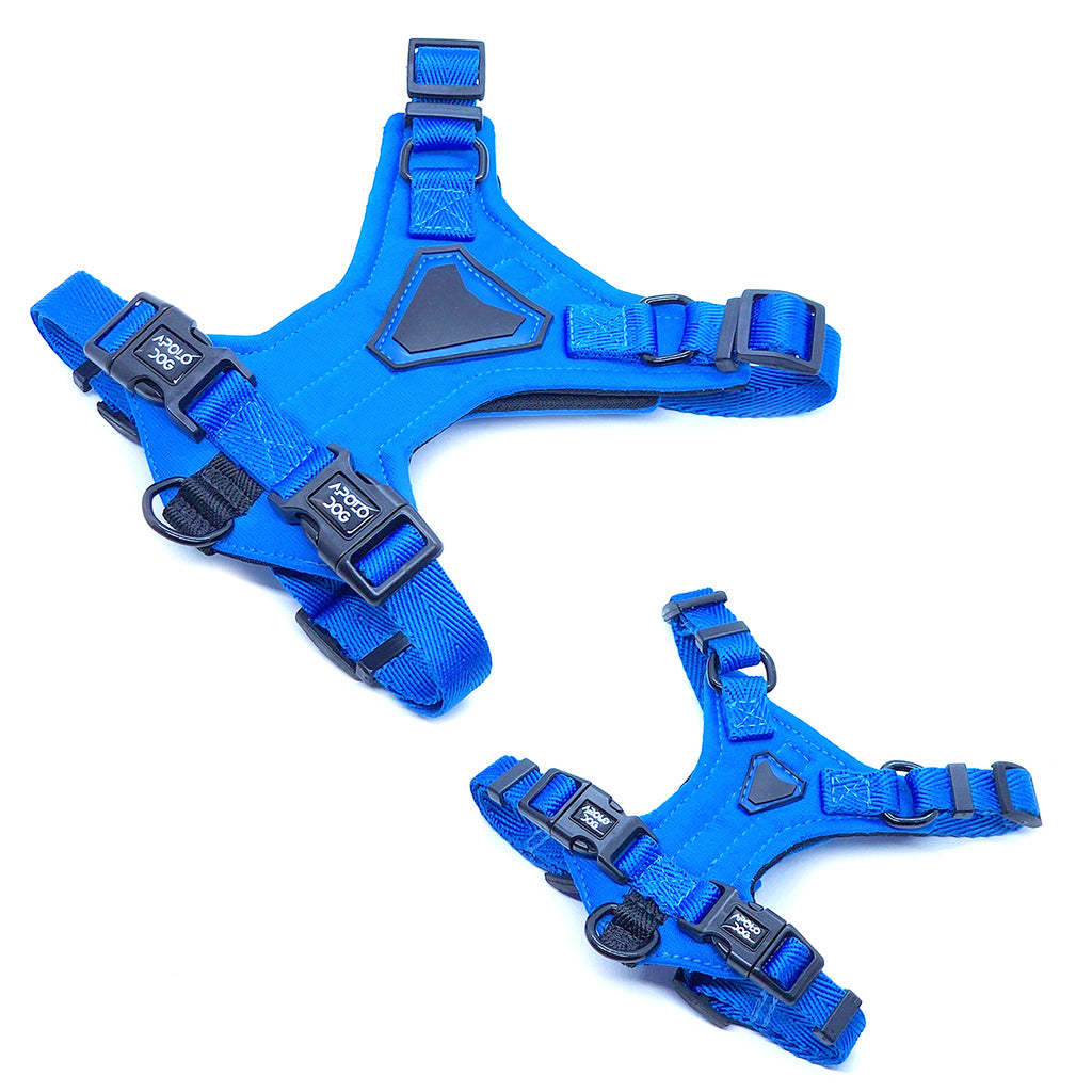 PEITORAL H AZUL PARA CÃES COM 2 PONTOS DE ENGATE ANTIPUXÃO