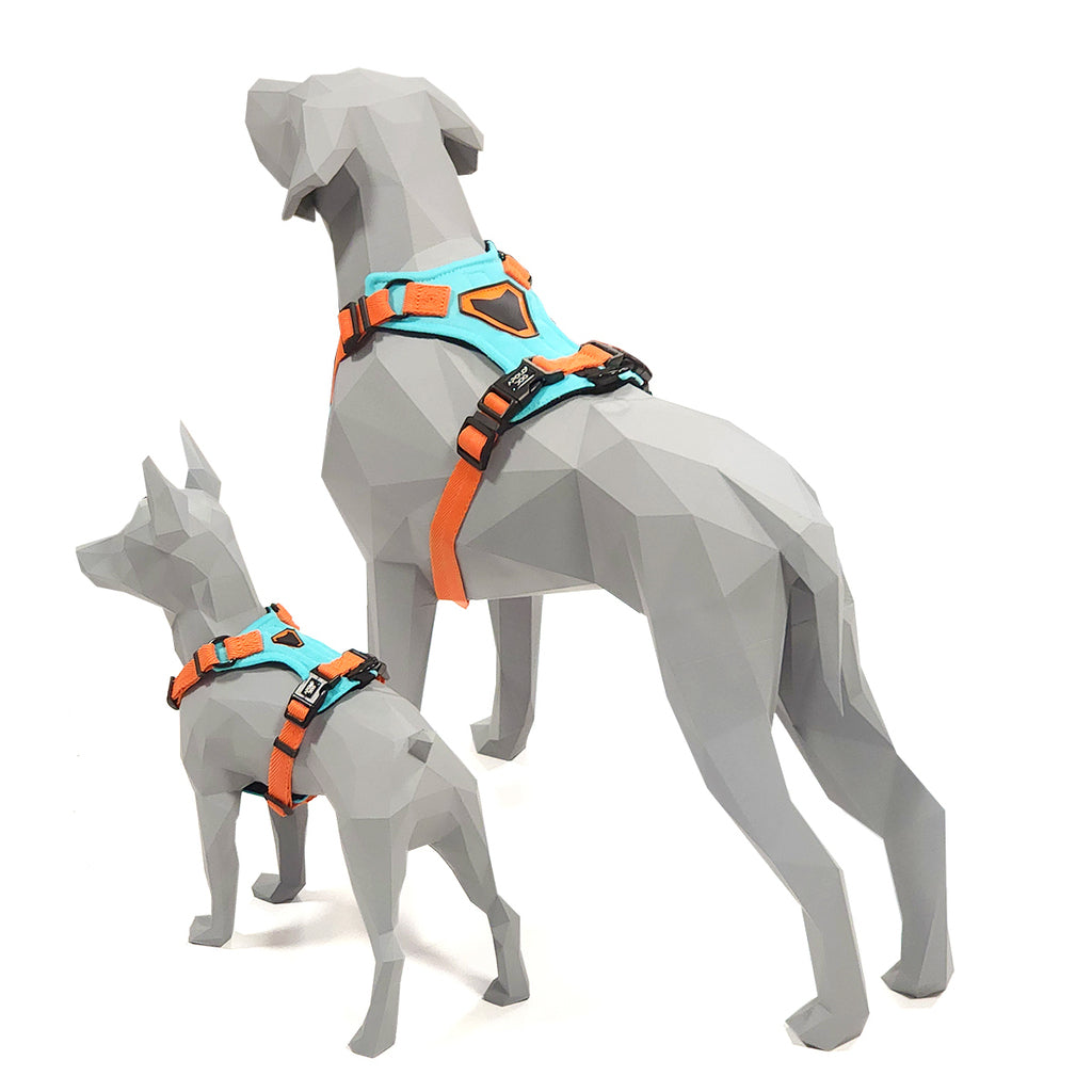 PEITORAL H VERDE ÁGUA PARA CÃES COM 2 PONTOS DE ENGATE ANTIPUXÃO