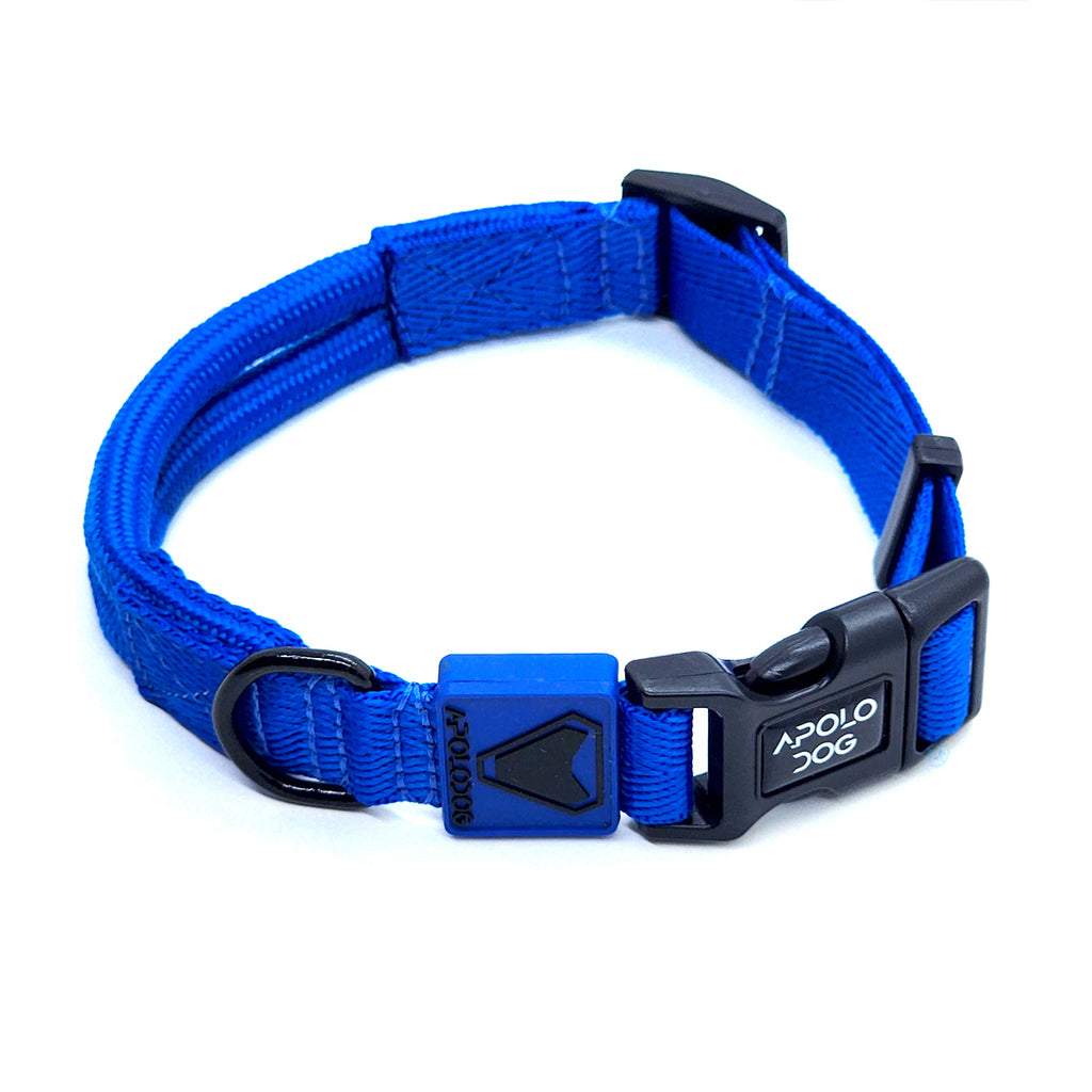 COLEIRA AZUL PARA CÃES DE PEQUENO MÉDIO E GRANDE PORTE