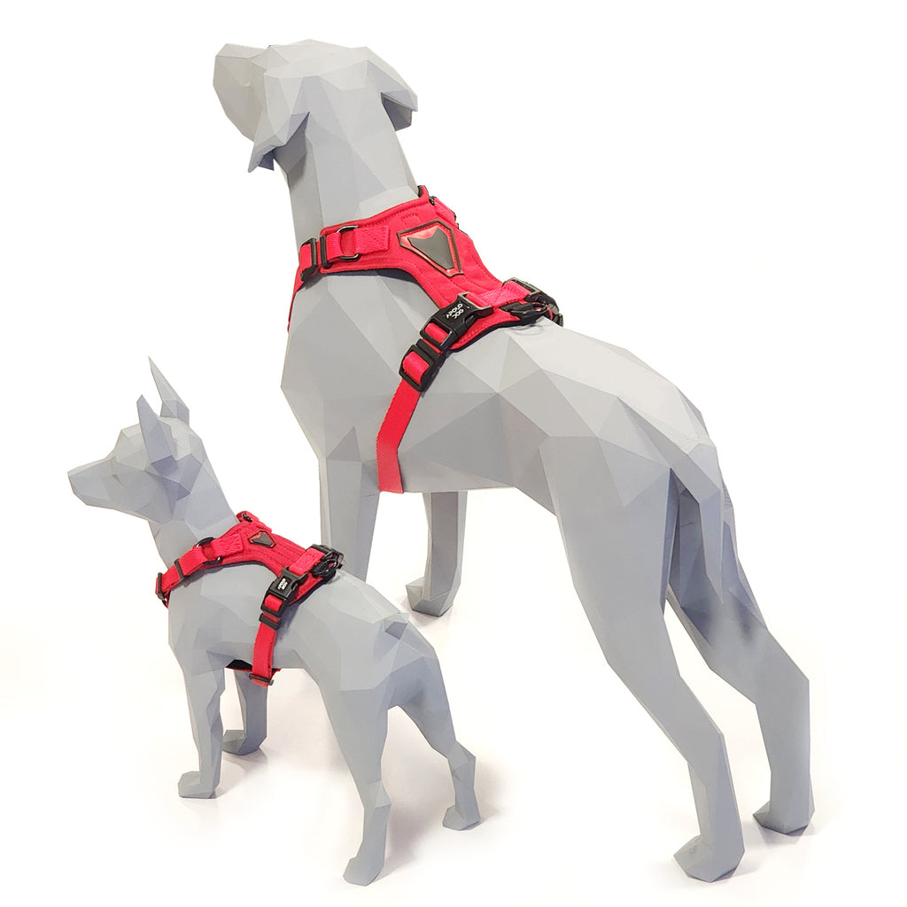 PEITORAL H VERMELHO PARA CÃES COM 2 PONTOS DE ENGATE ANTIPUXÃO