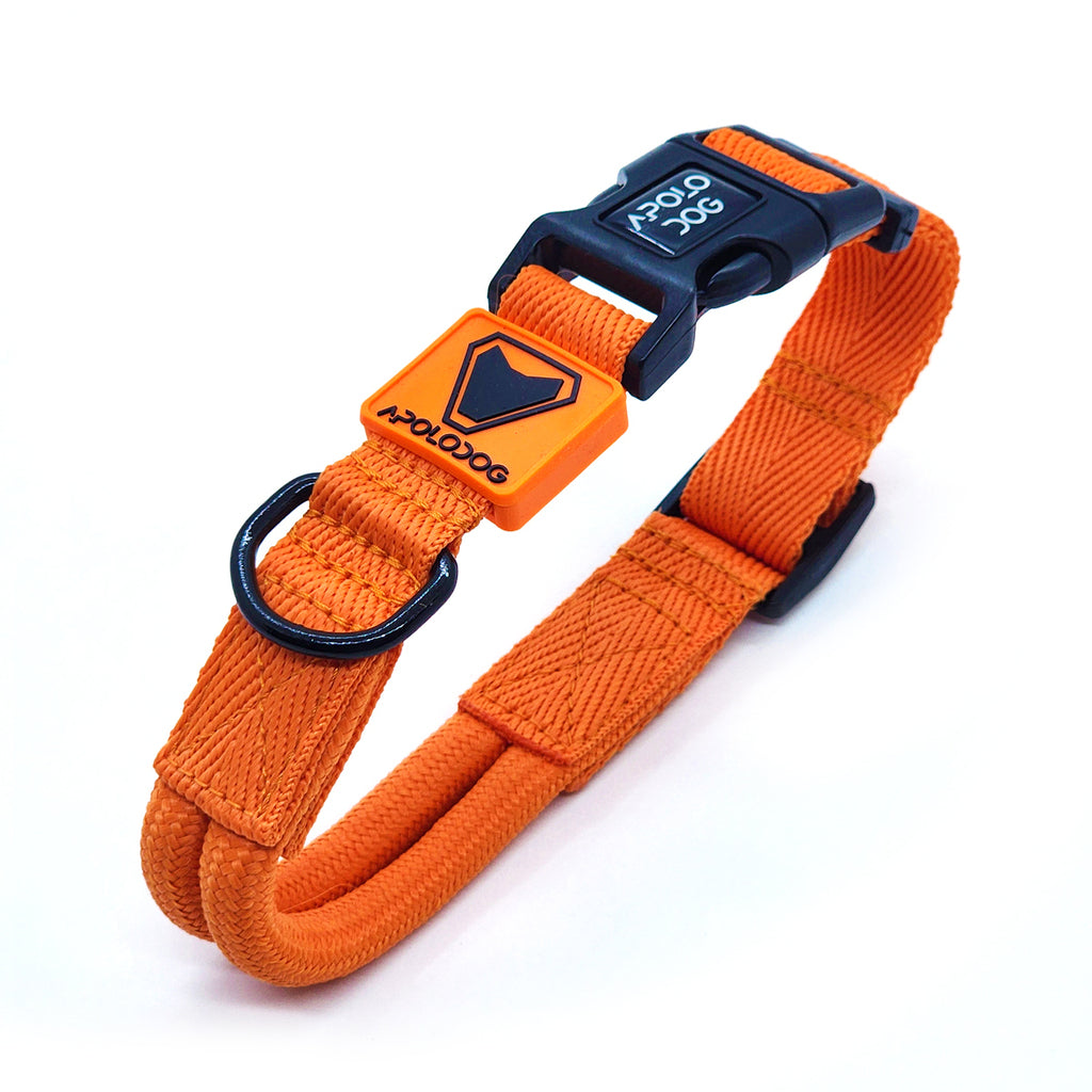 COLEIRA LARANJA PARA CÃES DE PEQUENO MÉDIO E GRANDE PORTE