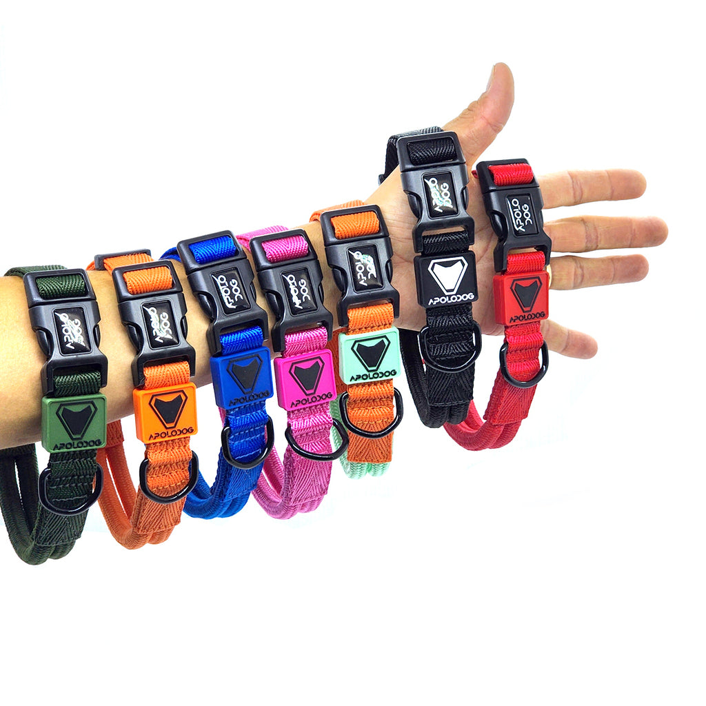 COLEIRA PRETO PARA CÃES DE PEQUENO MÉDIO E GRANDE PORTE