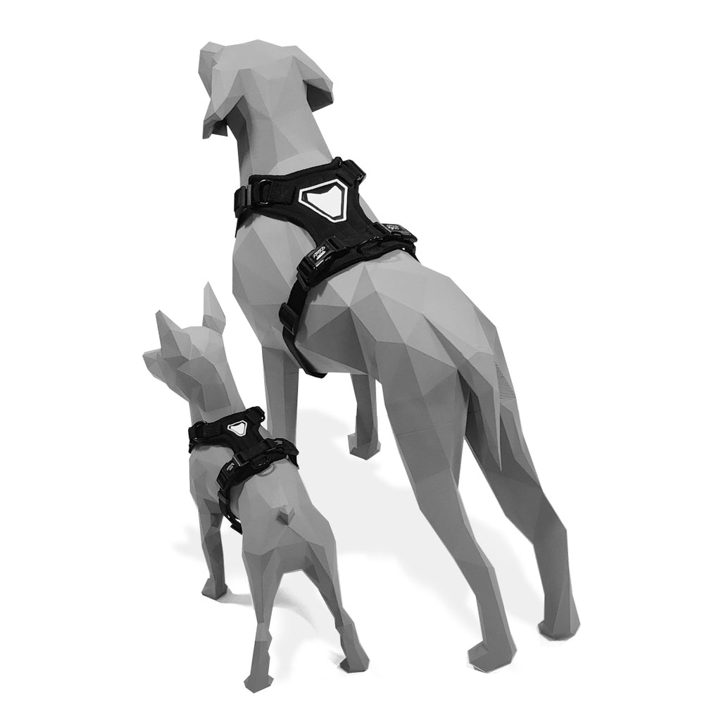 KIT COLEIRA + GUIA + PEITORAL PARA PASSEIOS CACHORRO PRETO