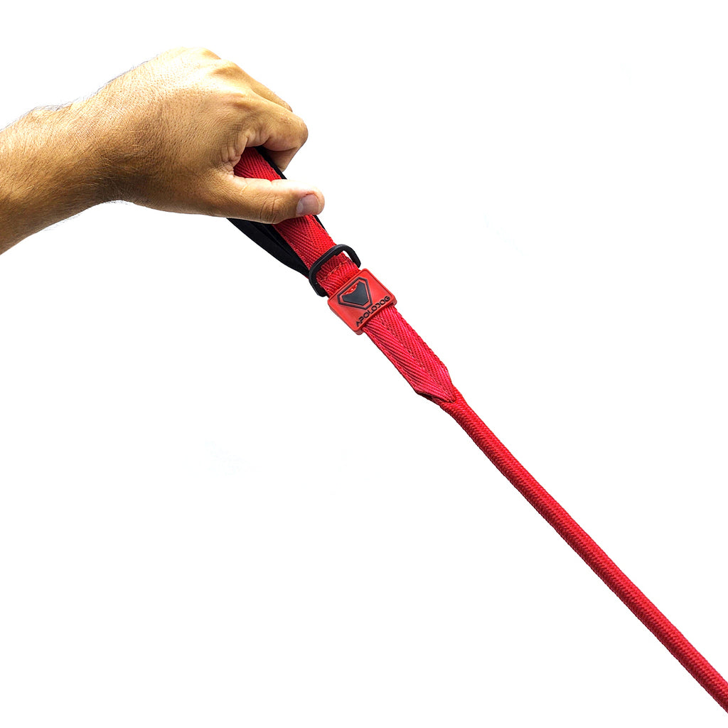 KIT COLEIRA + GUIA + PEITORAL PARA PASSEIOS CACHORRO VERMELHO