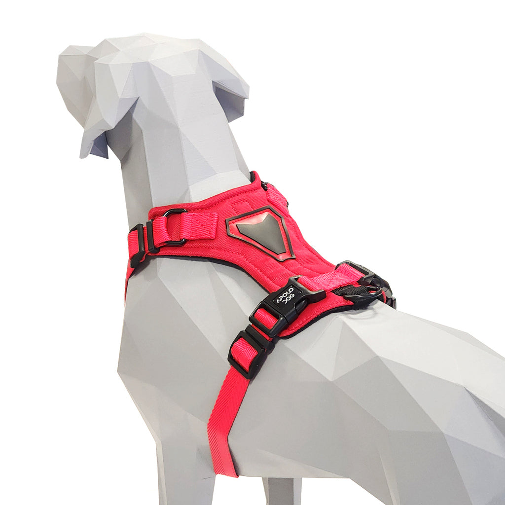 PEITORAL H VERMELHO PARA CÃES COM 2 PONTOS DE ENGATE ANTIPUXÃO