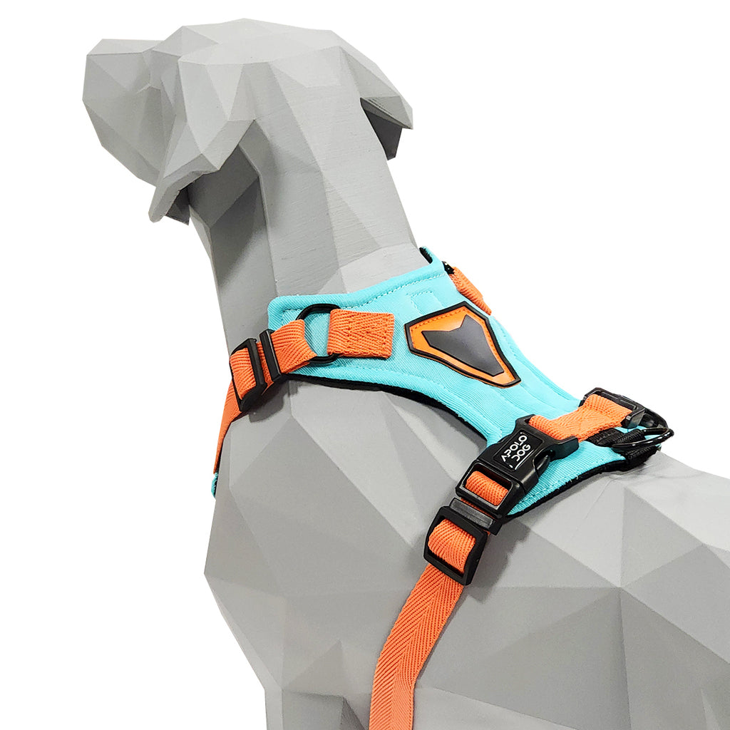 PEITORAL H VERDE ÁGUA PARA CÃES COM 2 PONTOS DE ENGATE ANTIPUXÃO