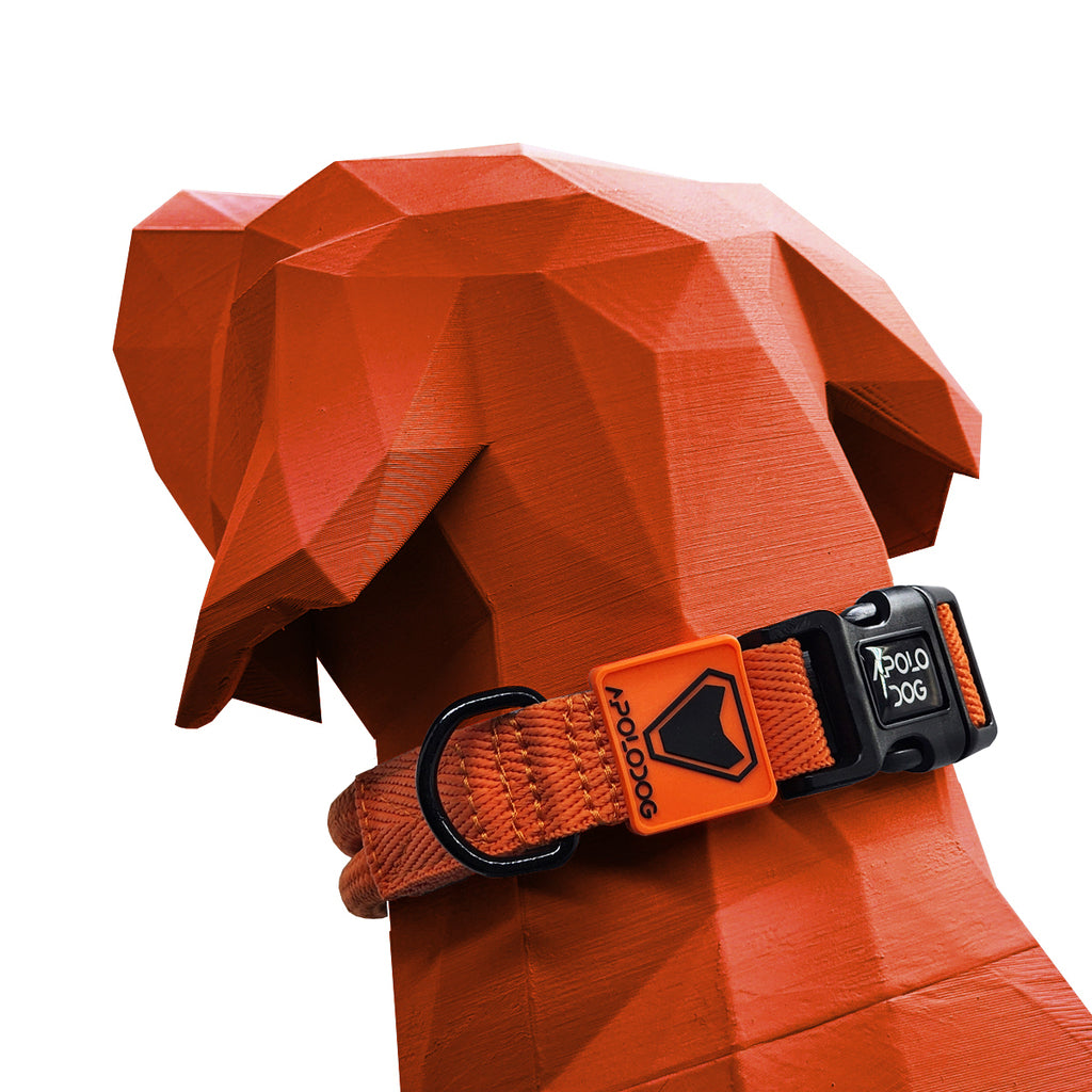 COLEIRA LARANJA PARA CÃES DE PEQUENO MÉDIO E GRANDE PORTE