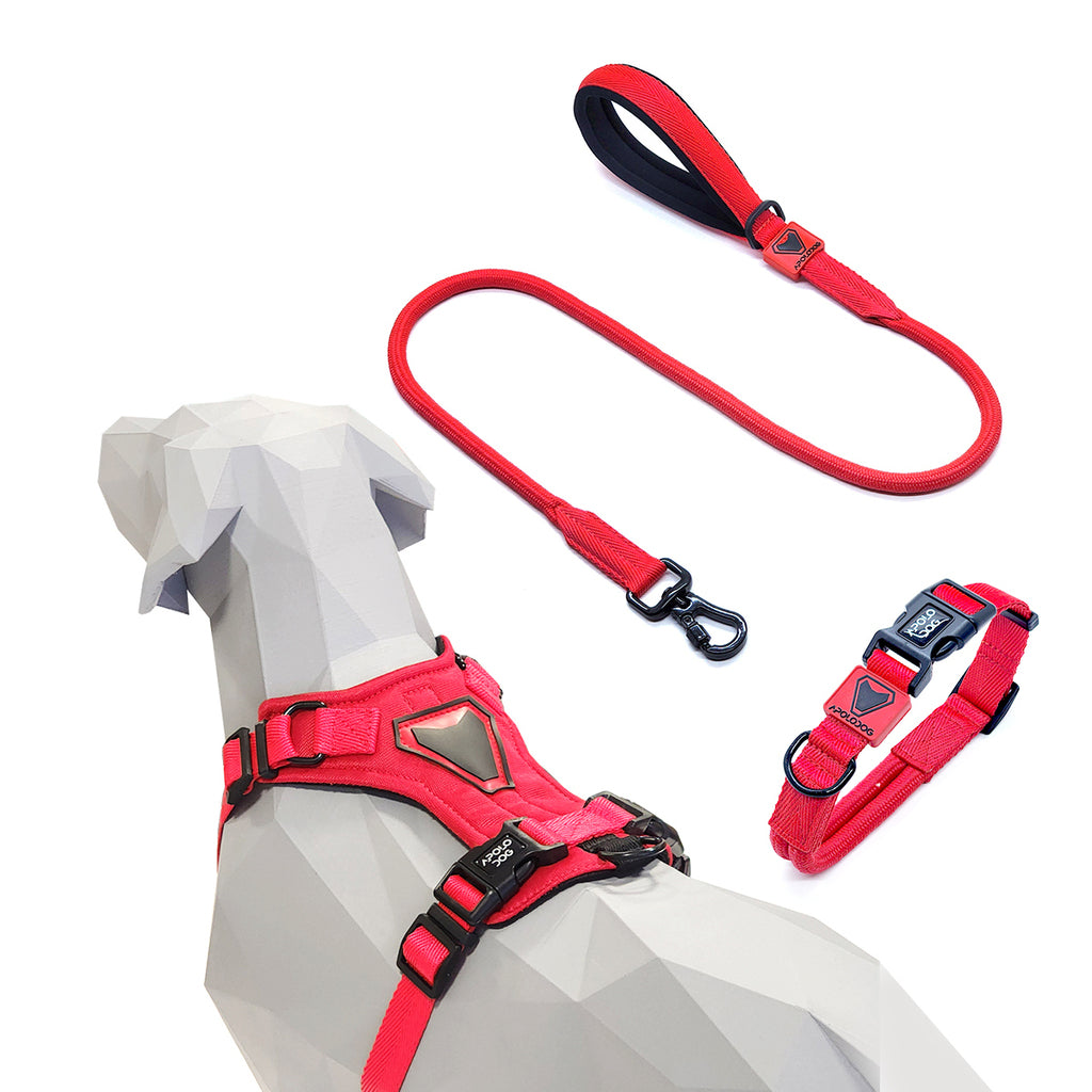 KIT COLEIRA + GUIA + PEITORAL PARA PASSEIOS CACHORRO VERMELHO