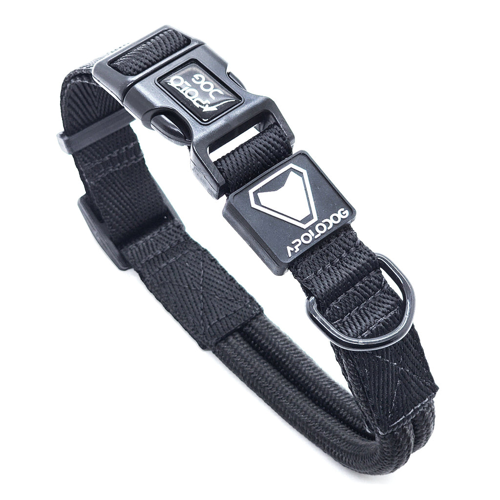 KIT COLEIRA + GUIA + PEITORAL PARA PASSEIOS CACHORRO PRETO