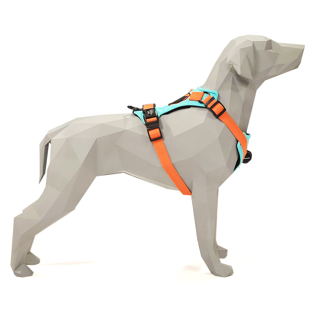 PEITORAL H VERDE ÁGUA PARA CÃES COM 2 PONTOS DE ENGATE ANTIPUXÃO