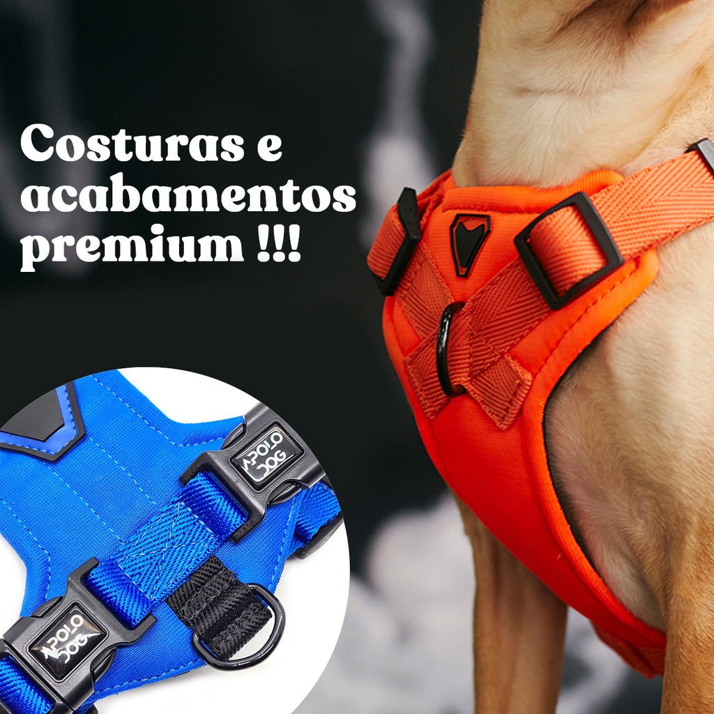 KIT COLEIRA + GUIA + PEITORAL PARA PASSEIOS CACHORRO PRETO