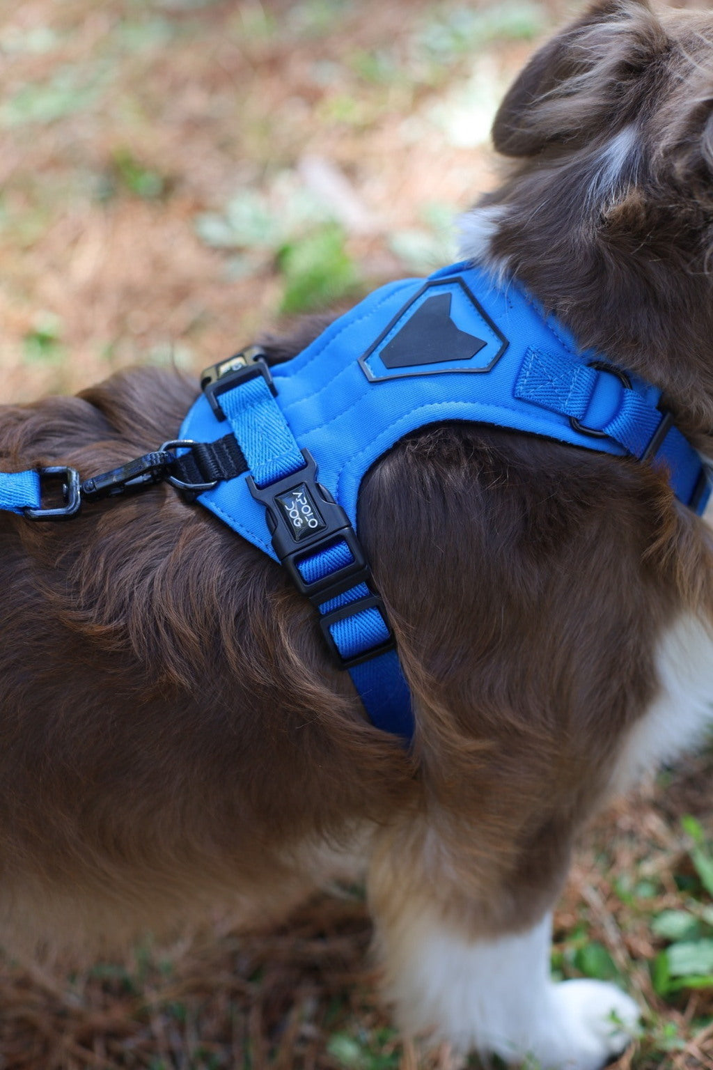PEITORAL H AZUL PARA CÃES COM 2 PONTOS DE ENGATE ANTIPUXÃO
