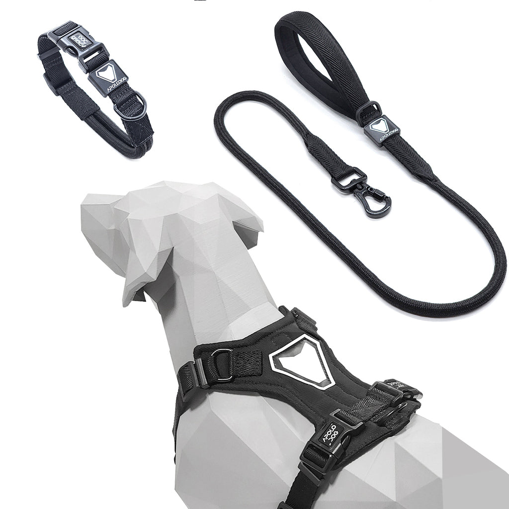 KIT COLEIRA + GUIA + PEITORAL PARA PASSEIOS CACHORRO PRETO