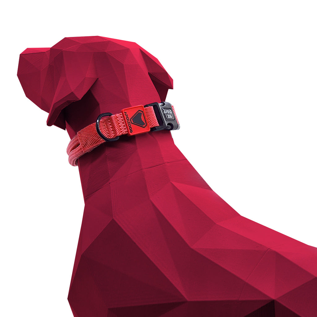 KIT COLEIRA + GUIA + PEITORAL PARA PASSEIOS CACHORRO VERMELHO