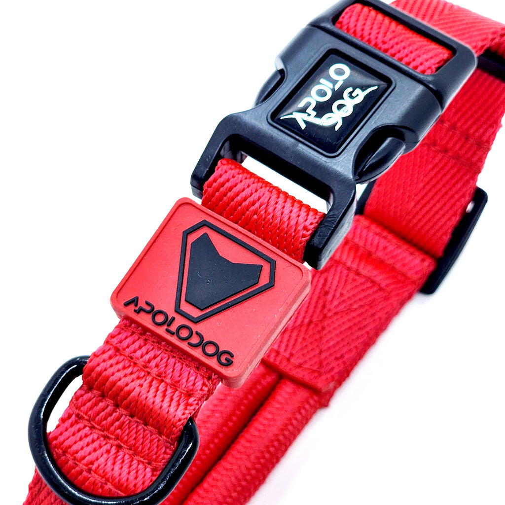 COLEIRA VERMELHO PARA CÃES DE PEQUENO MÉDIO E GRANDE PORTE