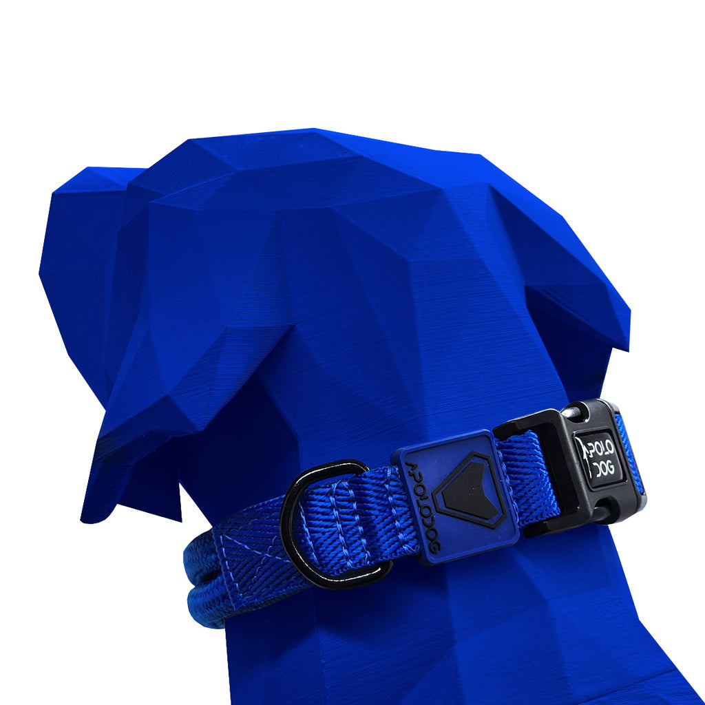 COLEIRA AZUL PARA CÃES DE PEQUENO MÉDIO E GRANDE PORTE