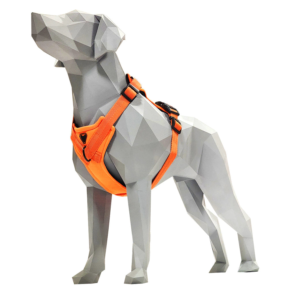 PEITORAL H LARANJA PARA CÃES COM 2 PONTOS DE ENGATE ANTIPUXÃO