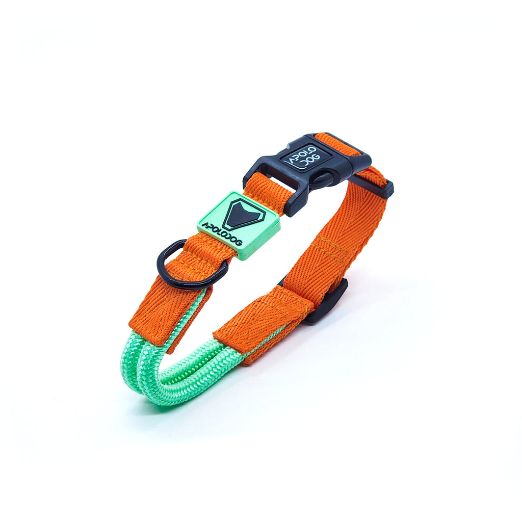 KIT COLEIRA + GUIA + PEITORAL PARA PASSEIOS CACHORRO VERDE ÁGUA