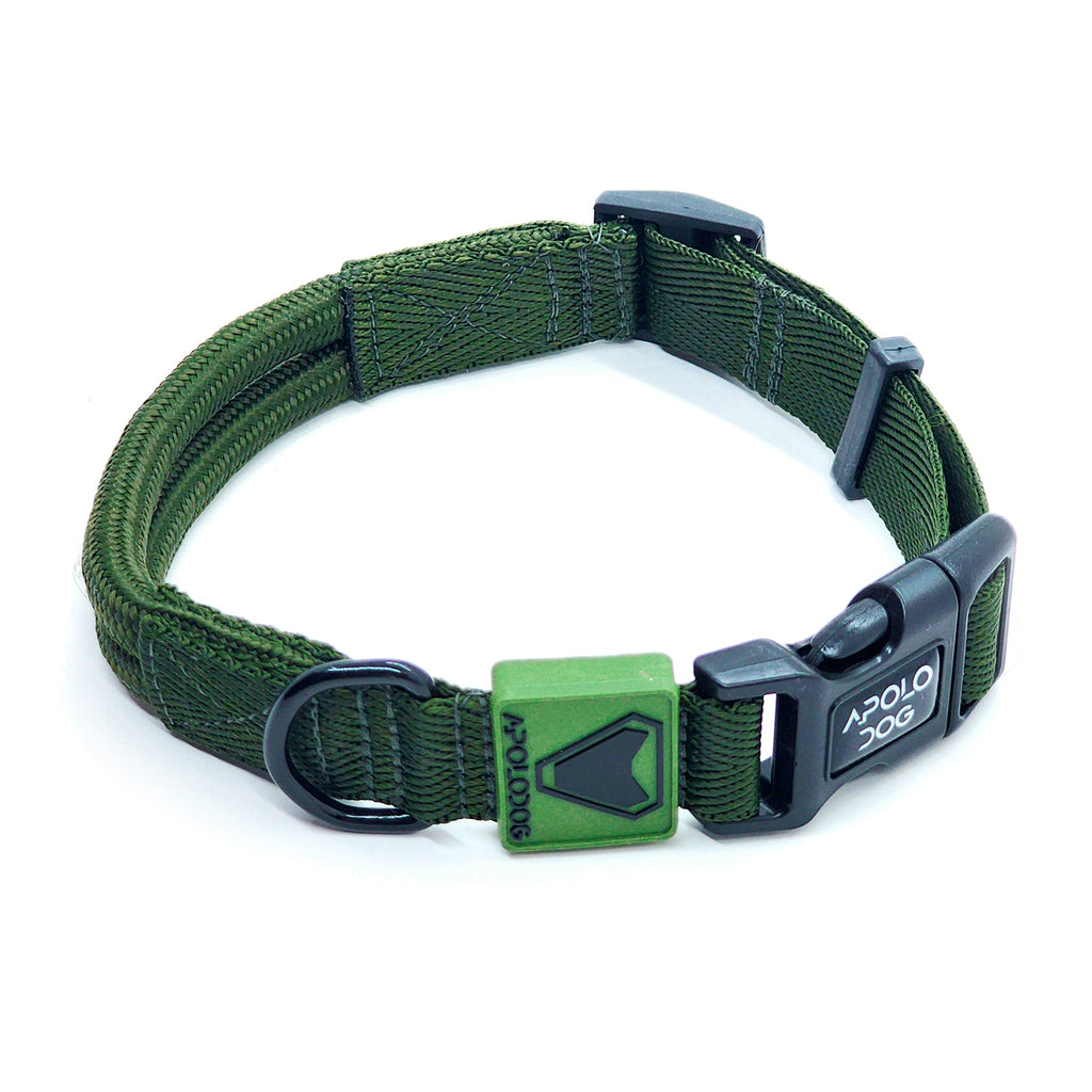 COLEIRA VERDE MILITAR PARA CÃES DE PEQUENO MÉDIO E GRANDE PORTE