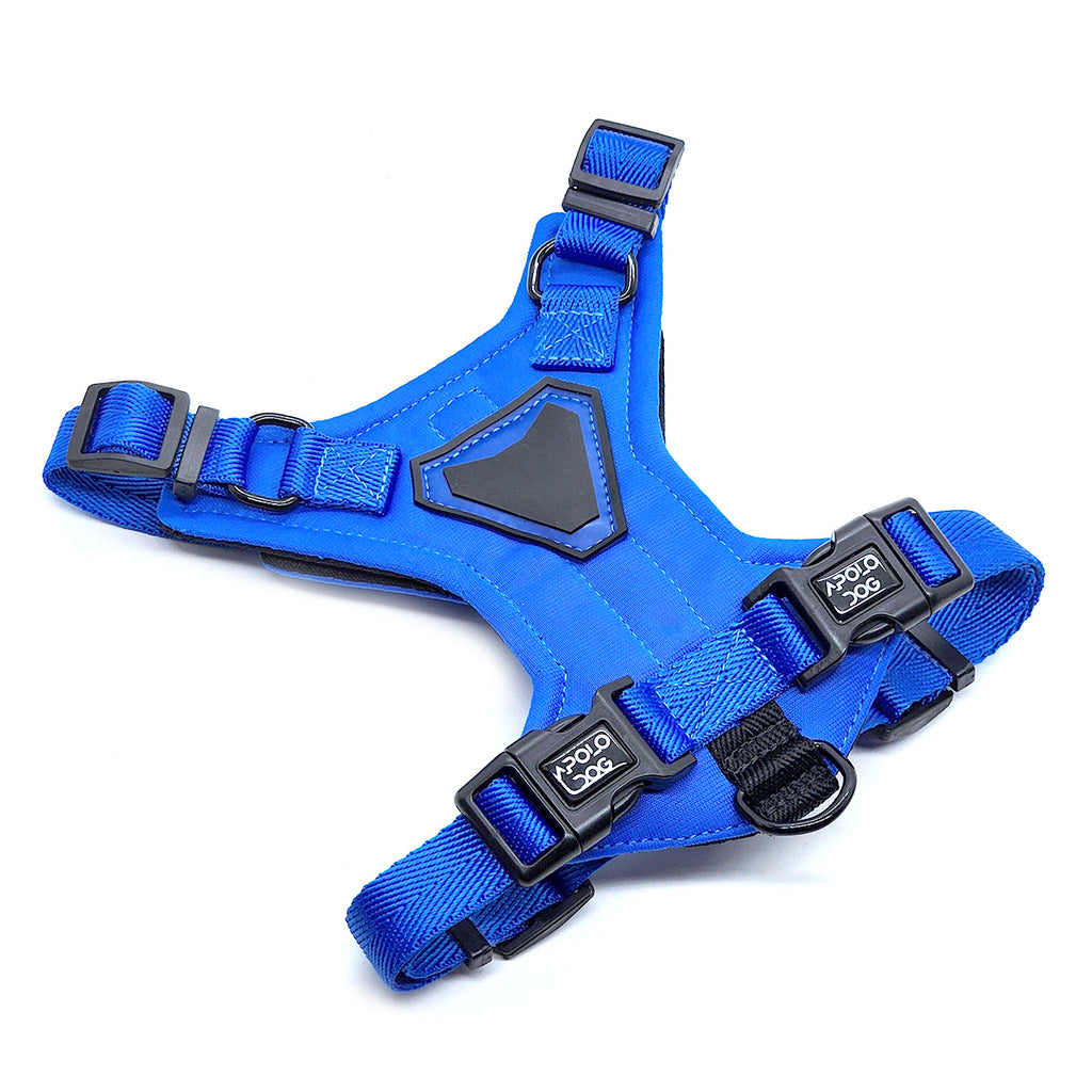 KIT COLEIRA + GUIA + PEITORAL PARA PASSEIOS CACHORRO AZUL