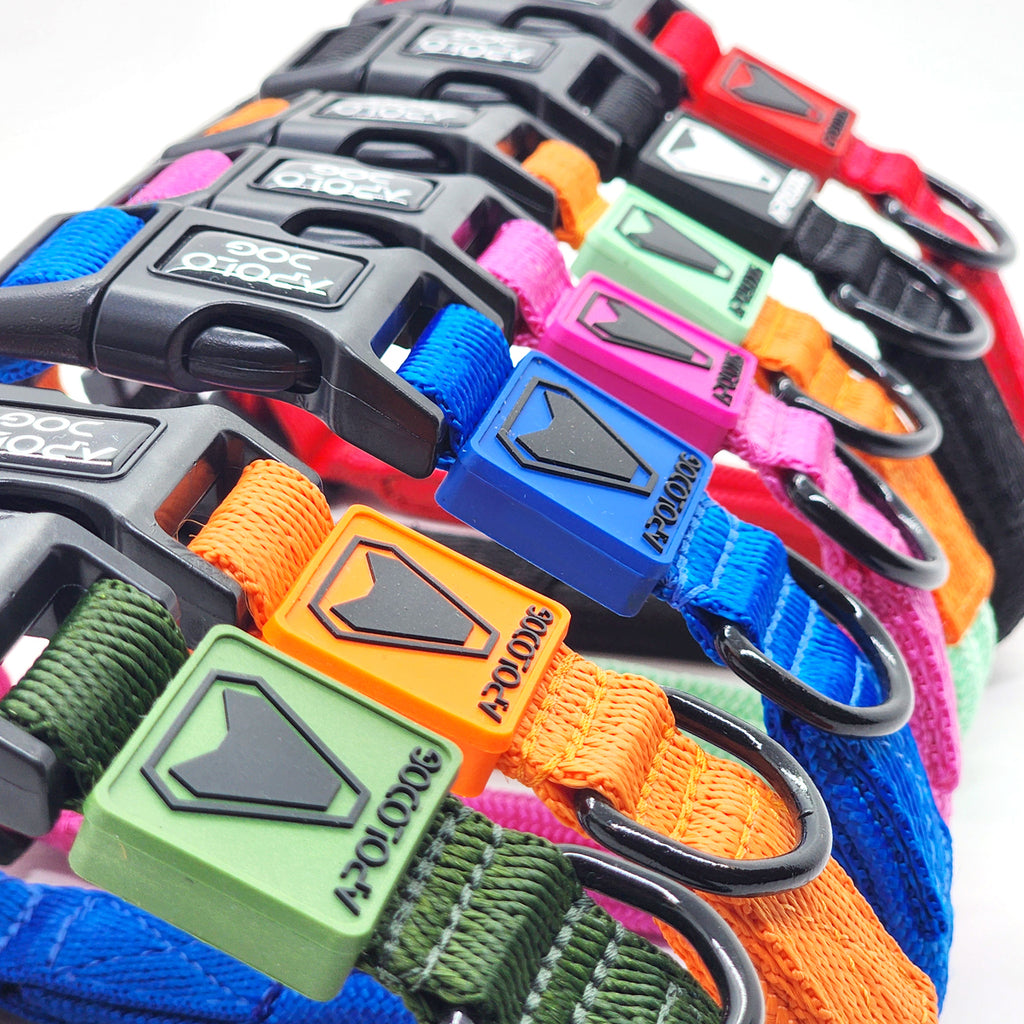 COLEIRA PRETO PARA CÃES DE PEQUENO MÉDIO E GRANDE PORTE