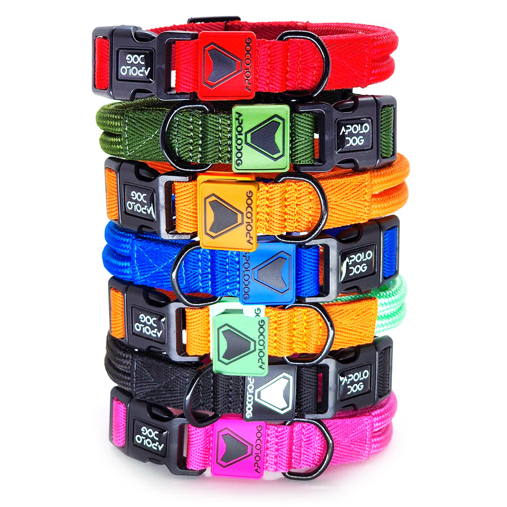 COLEIRA VERDE ÁGUA PARA CÃES DE PEQUENO MÉDIO E GRANDE PORTE