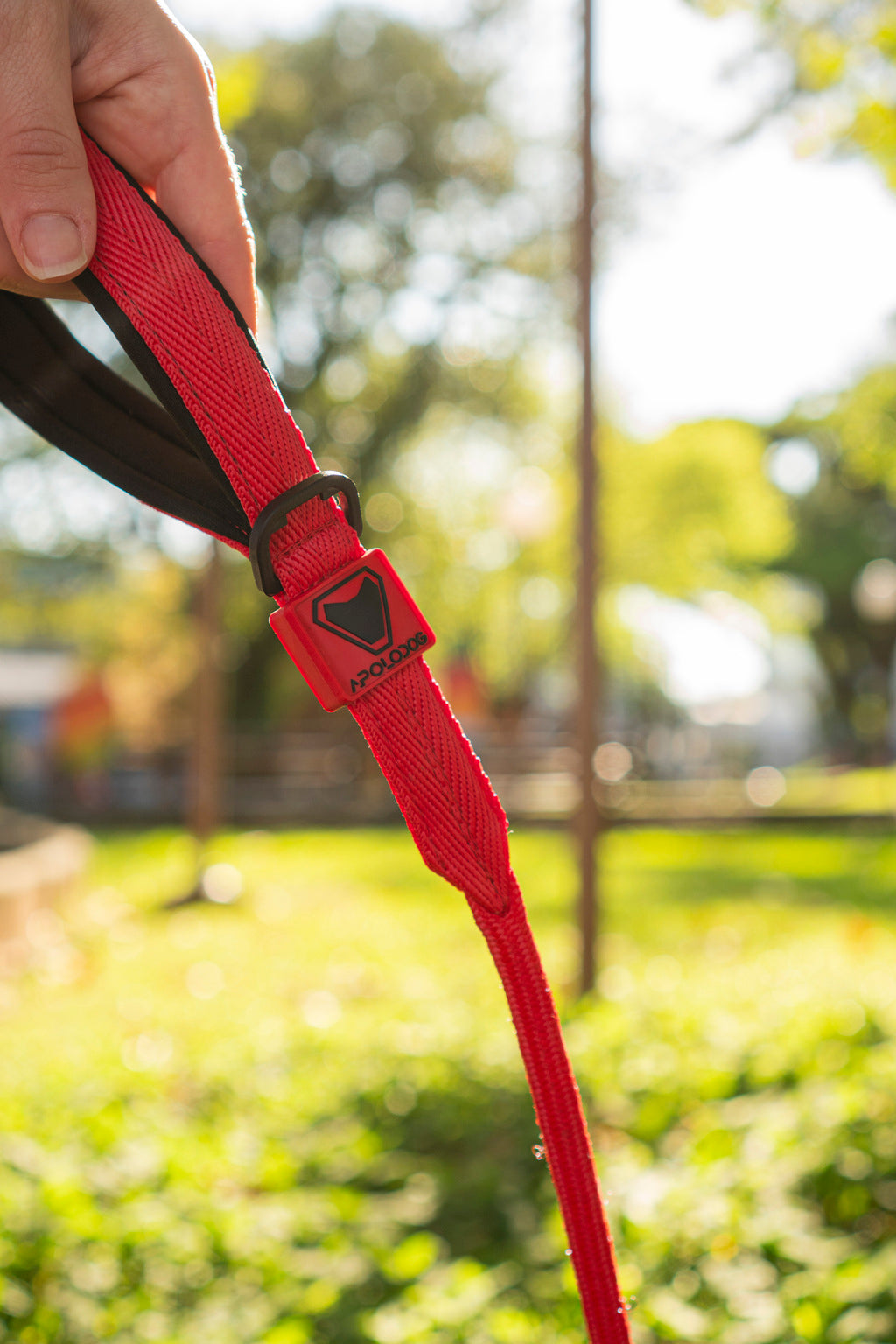 KIT COLEIRA + GUIA + PEITORAL PARA PASSEIOS CACHORRO VERMELHO