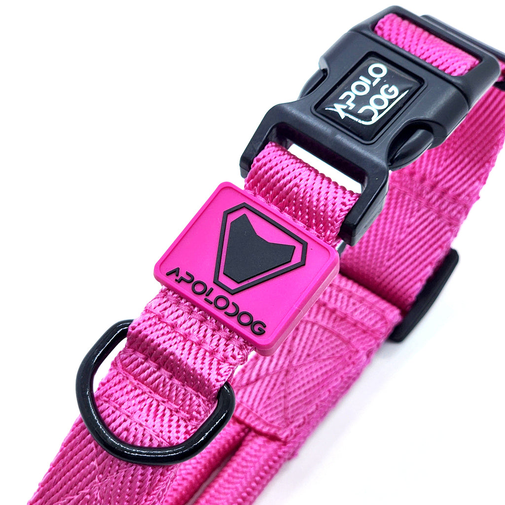 COLEIRA ROSA PARA CÃES DE PEQUENO MÉDIO E GRANDE PORTE