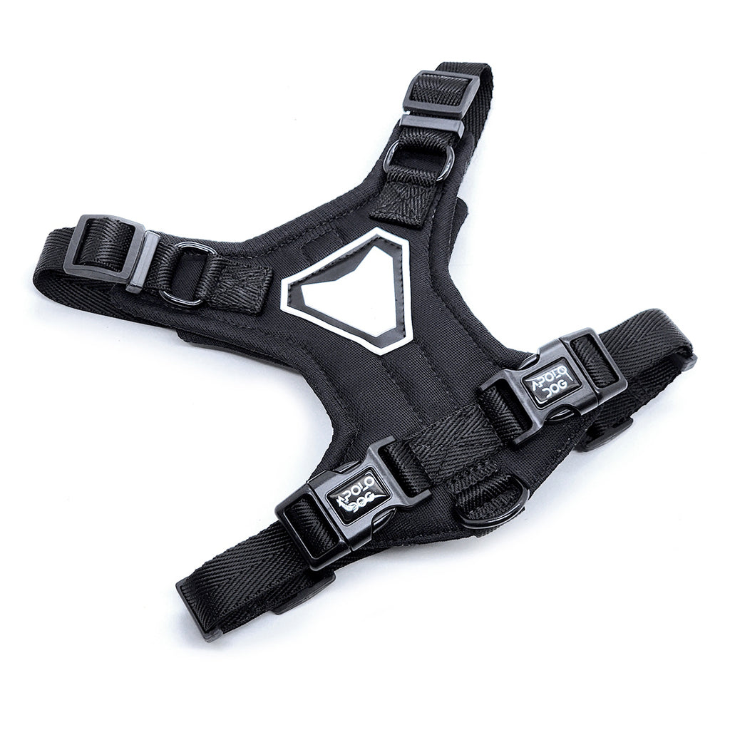 KIT COLEIRA + GUIA + PEITORAL PARA PASSEIOS CACHORRO PRETO