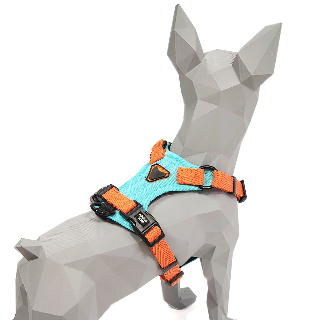 KIT COLEIRA + GUIA + PEITORAL PARA PASSEIOS CACHORRO VERDE ÁGUA