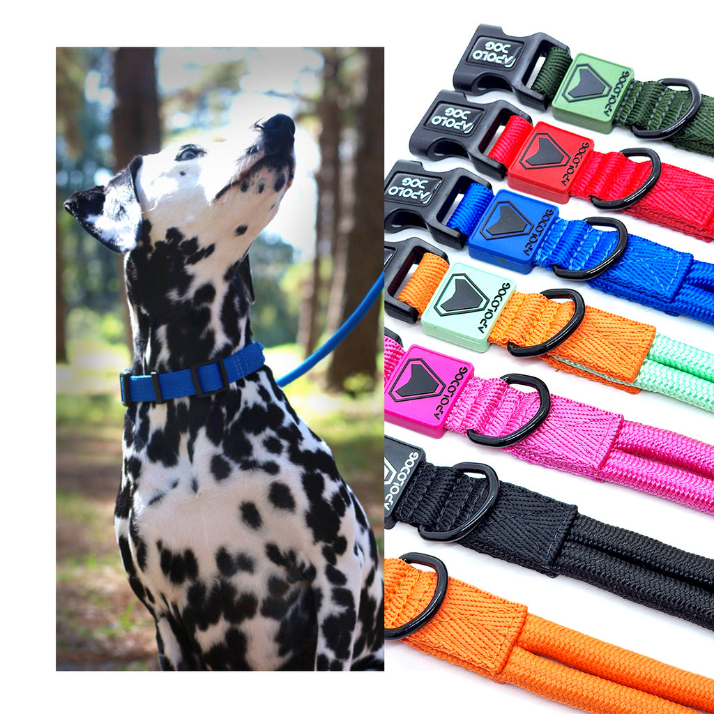 COLEIRA AZUL PARA CÃES DE PEQUENO MÉDIO E GRANDE PORTE