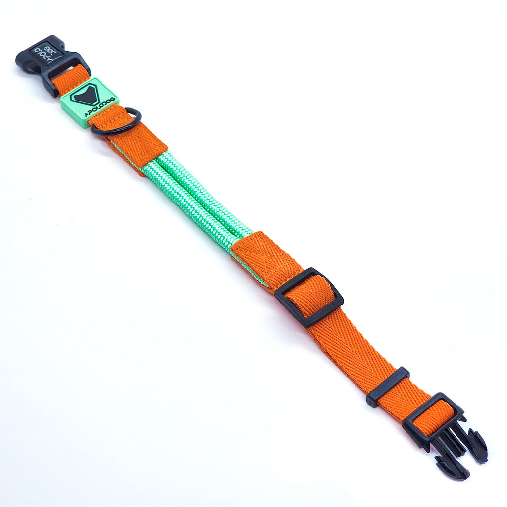 COLEIRA VERDE ÁGUA PARA CÃES DE PEQUENO MÉDIO E GRANDE PORTE