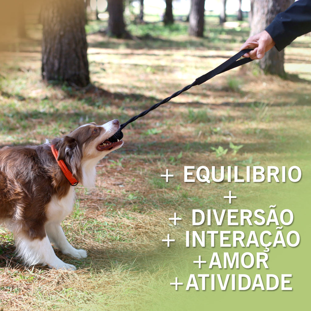 CABO DE GUERRA VERDE MILITAR BRINQUEDO INTERATIVO PARA CÃES