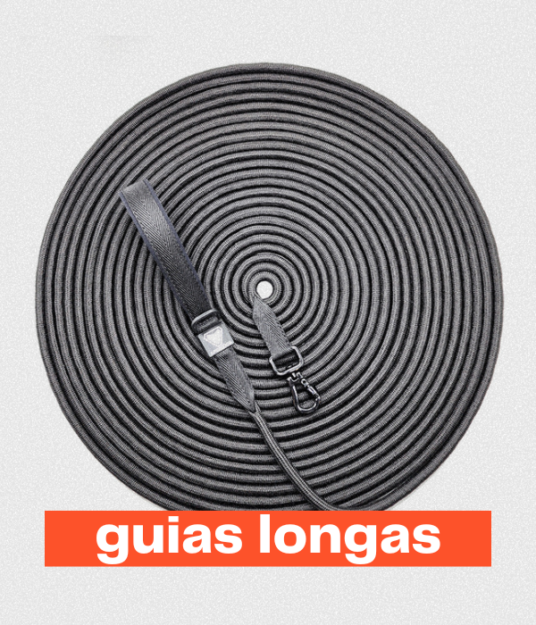 Guias Longas