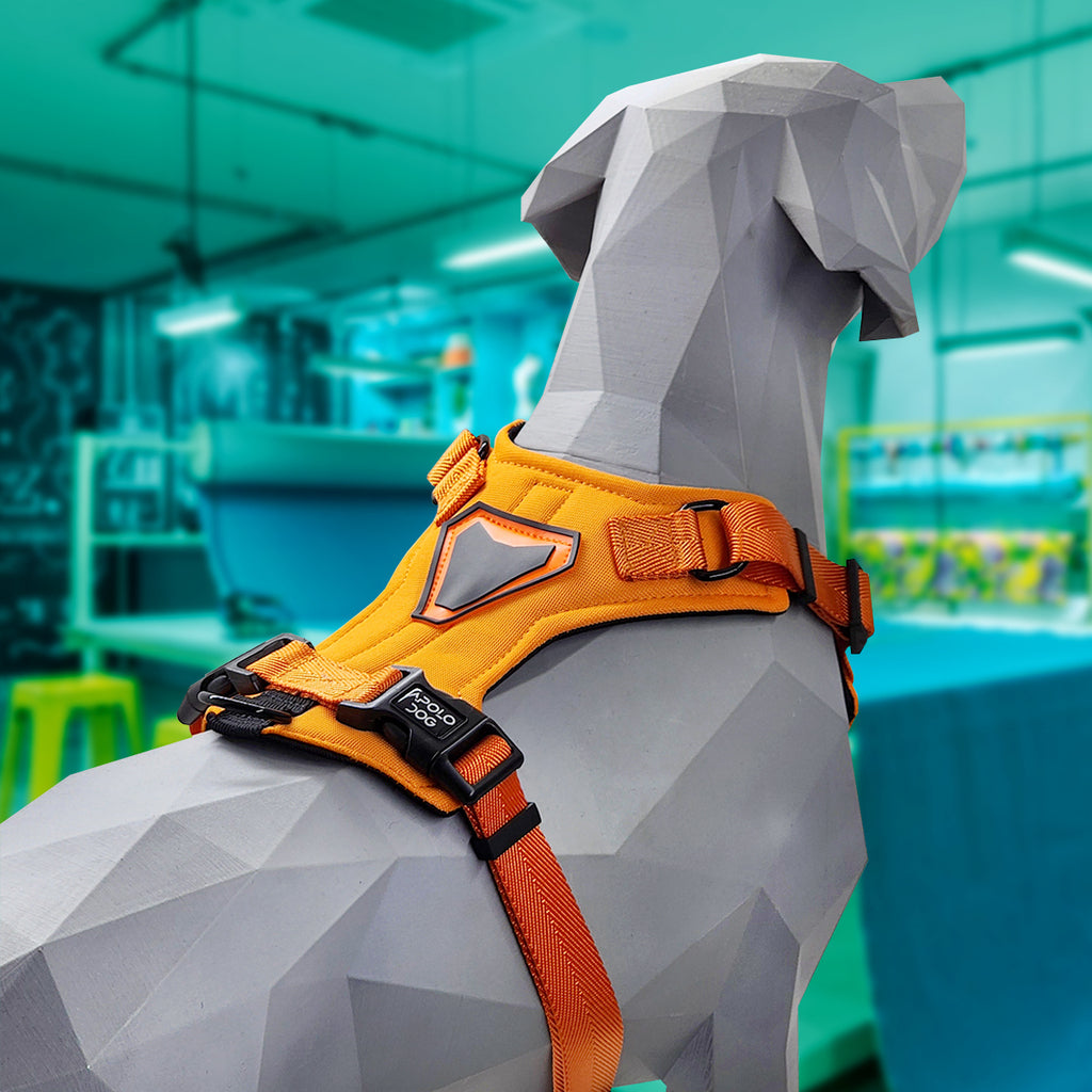 PEITORAL H LARANJA PARA CÃES COM 2 PONTOS DE ENGATE ANTIPUXÃO