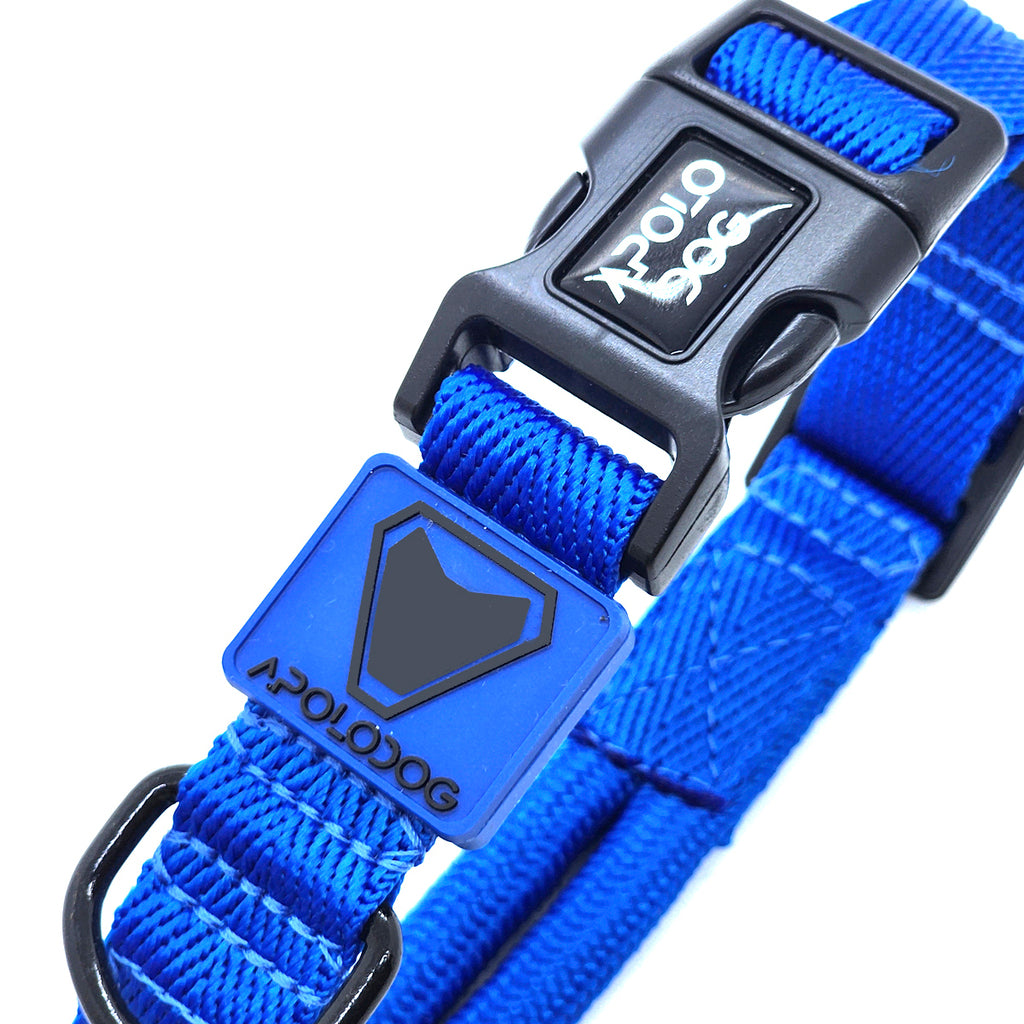 COLEIRA AZUL PARA CÃES DE PEQUENO MÉDIO E GRANDE PORTE