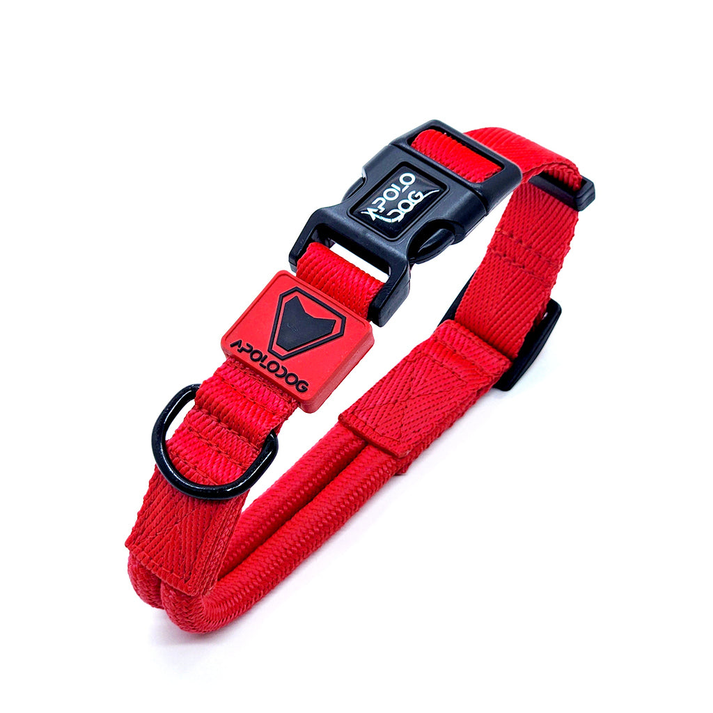 KIT COLEIRA + GUIA + PEITORAL PARA PASSEIOS CACHORRO VERMELHO