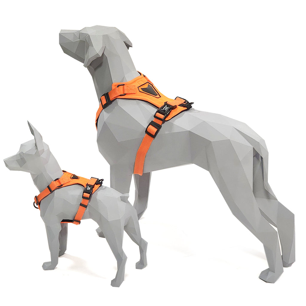 PEITORAL H LARANJA PARA CÃES COM 2 PONTOS DE ENGATE ANTIPUXÃO