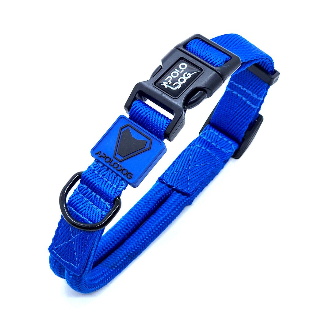 COLEIRA AZUL PARA CÃES DE PEQUENO MÉDIO E GRANDE PORTE