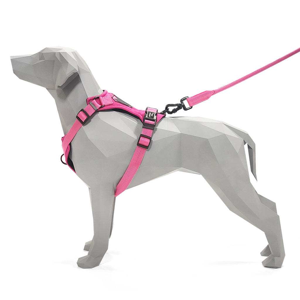 PEITORAL H ROSA PARA CÃES COM 2 PONTOS DE ENGATE ANTIPUXÃO