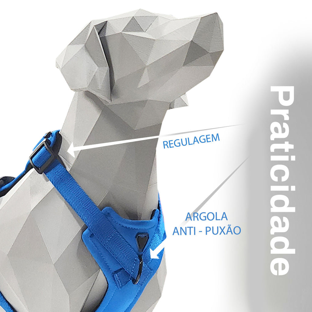 KIT COLEIRA + GUIA + PEITORAL PARA PASSEIOS CACHORRO PRETO