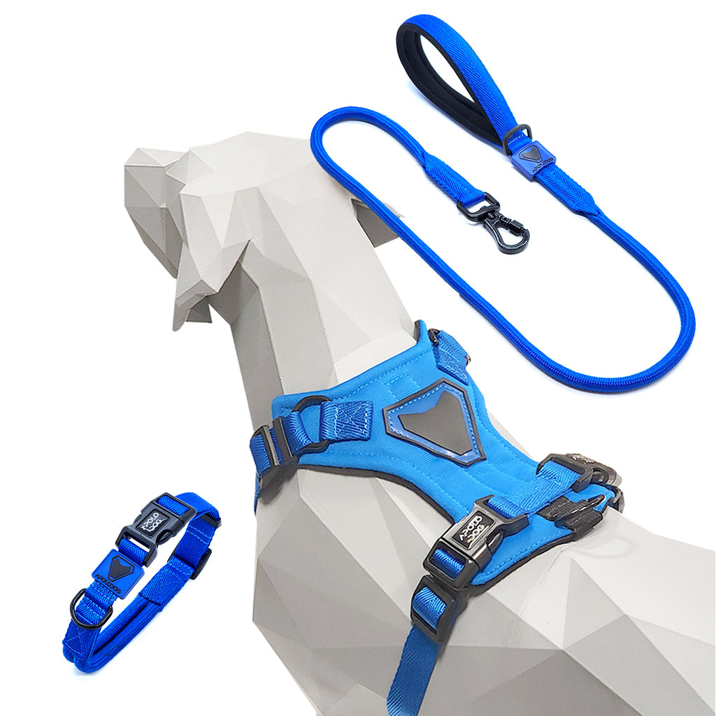 KIT COLEIRA + GUIA + PEITORAL PARA PASSEIOS CACHORRO AZUL