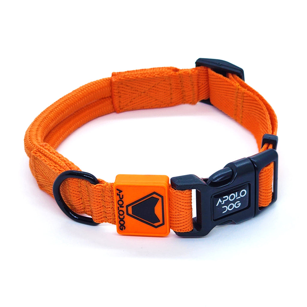 COLEIRA LARANJA PARA CÃES DE PEQUENO MÉDIO E GRANDE PORTE