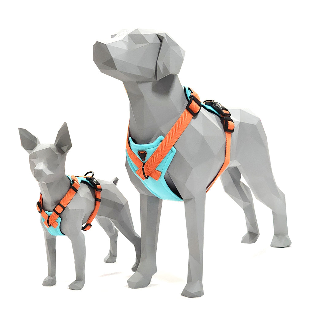 PEITORAL H VERDE ÁGUA PARA CÃES COM 2 PONTOS DE ENGATE ANTIPUXÃO