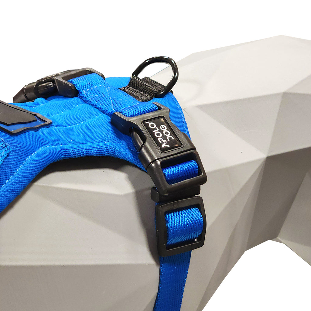 PEITORAL H AZUL PARA CÃES COM 2 PONTOS DE ENGATE ANTIPUXÃO