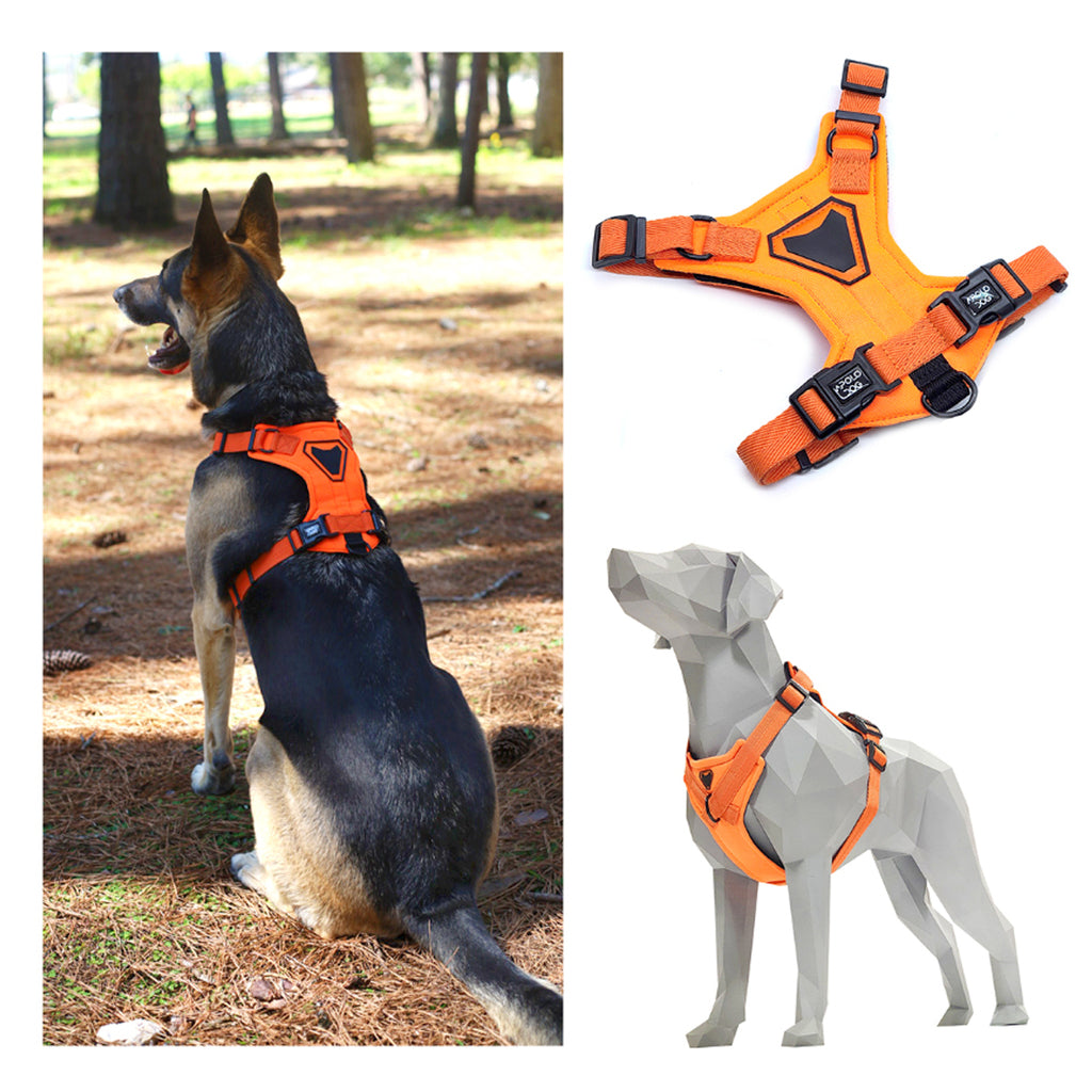PEITORAL H LARANJA PARA CÃES COM 2 PONTOS DE ENGATE ANTIPUXÃO
