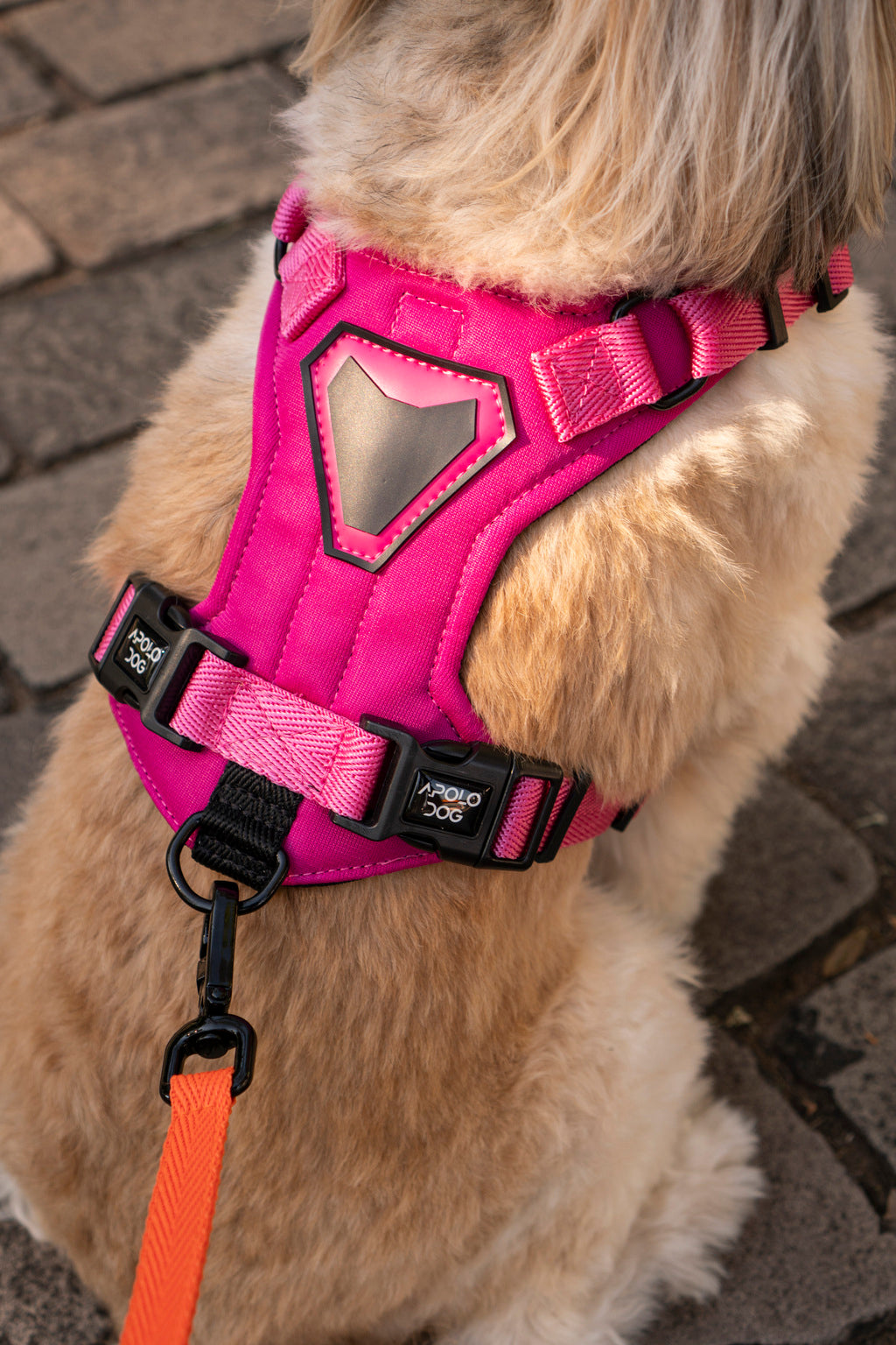 PEITORAL H ROSA PARA CÃES COM 2 PONTOS DE ENGATE ANTIPUXÃO