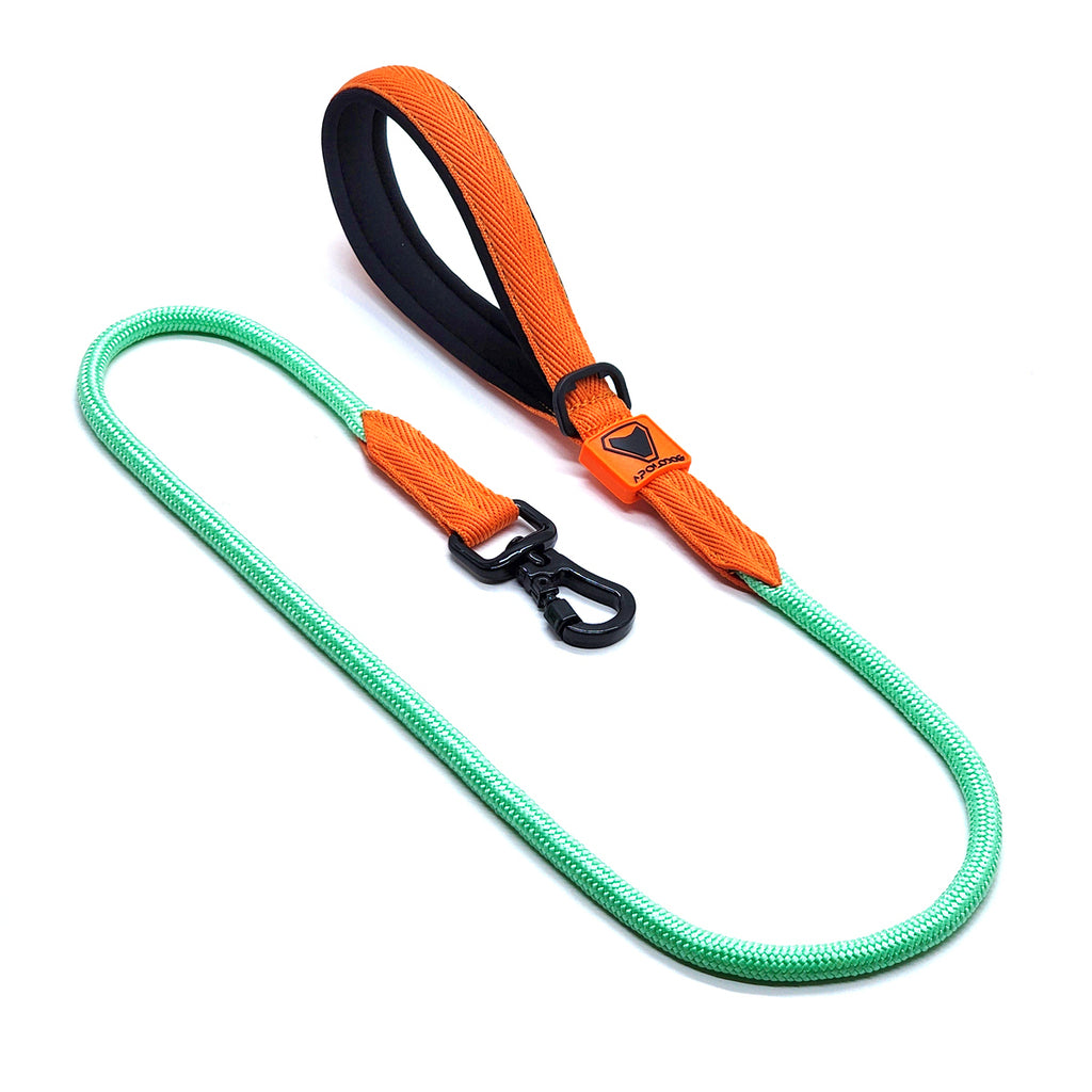 KIT COLEIRA + GUIA + PEITORAL PARA PASSEIOS CACHORRO VERDE ÁGUA