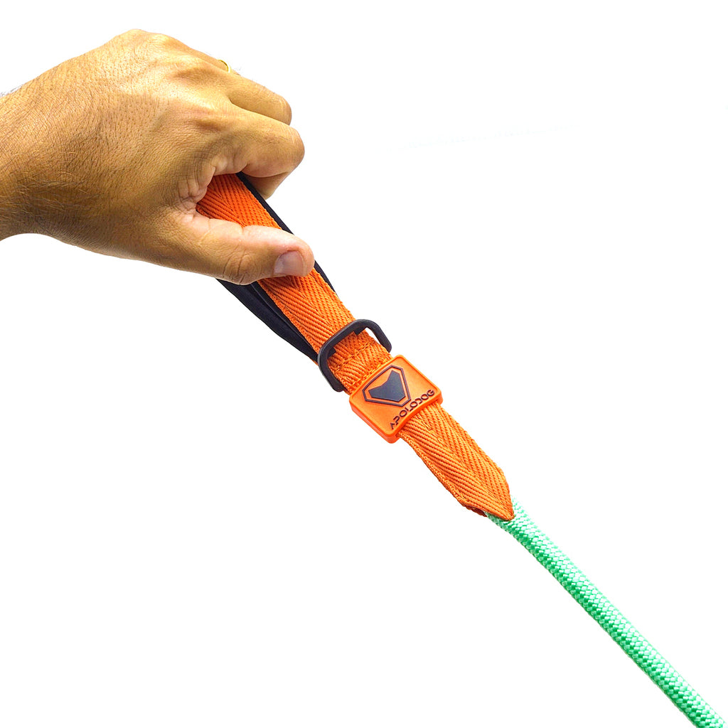 KIT COLEIRA + GUIA + PEITORAL PARA PASSEIOS CACHORRO VERDE ÁGUA